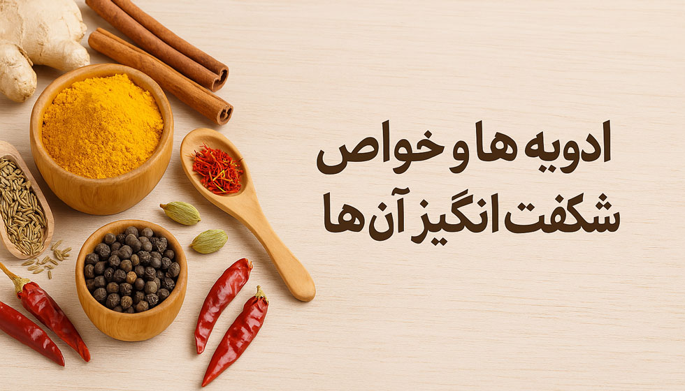 ادویه‌ها و خواص شگفت‌انگیز آن‌ها